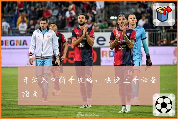 开云入口新手攻略，快速上手必备指南