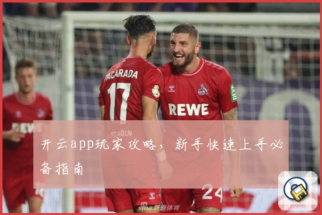 开云app玩家攻略，新手快速上手必备指南