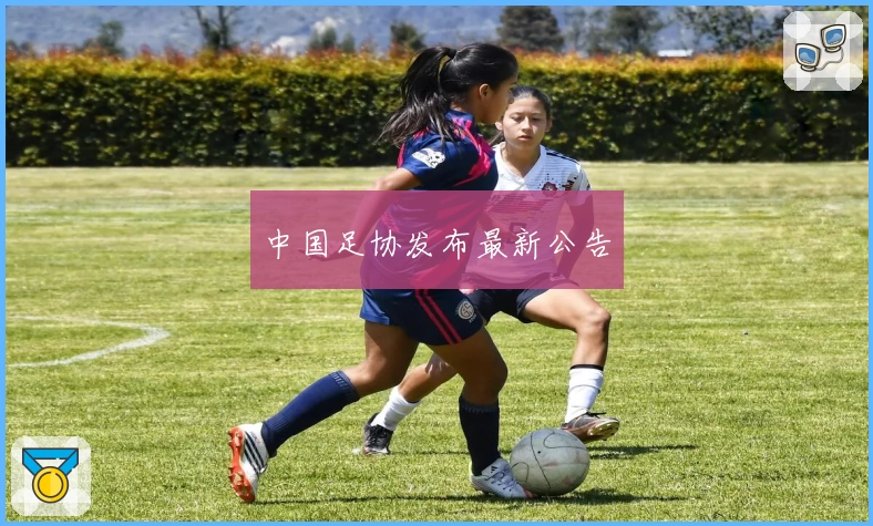 中国足协发布最新公告