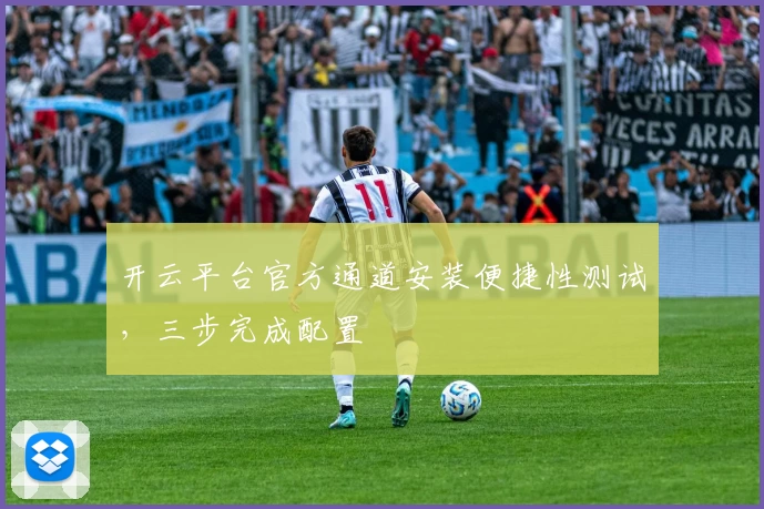 开云平台官方通道安装便捷性测试，三步完成配置